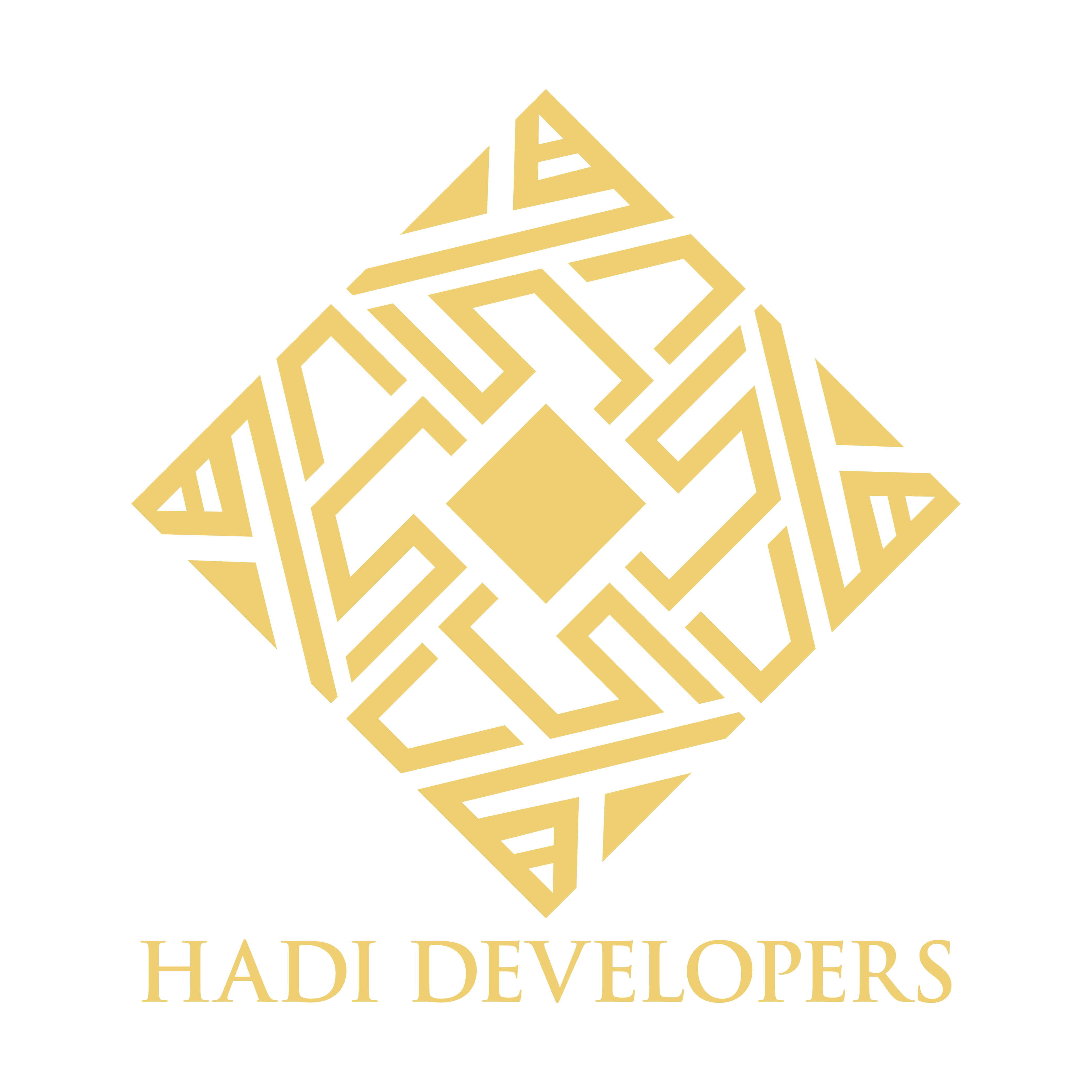 payment-plan-hadi-developers-pvt-ltd